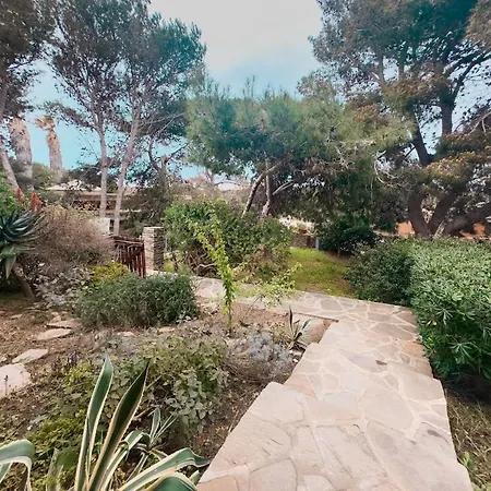 Pini, A Mediterranean Escape Stintino